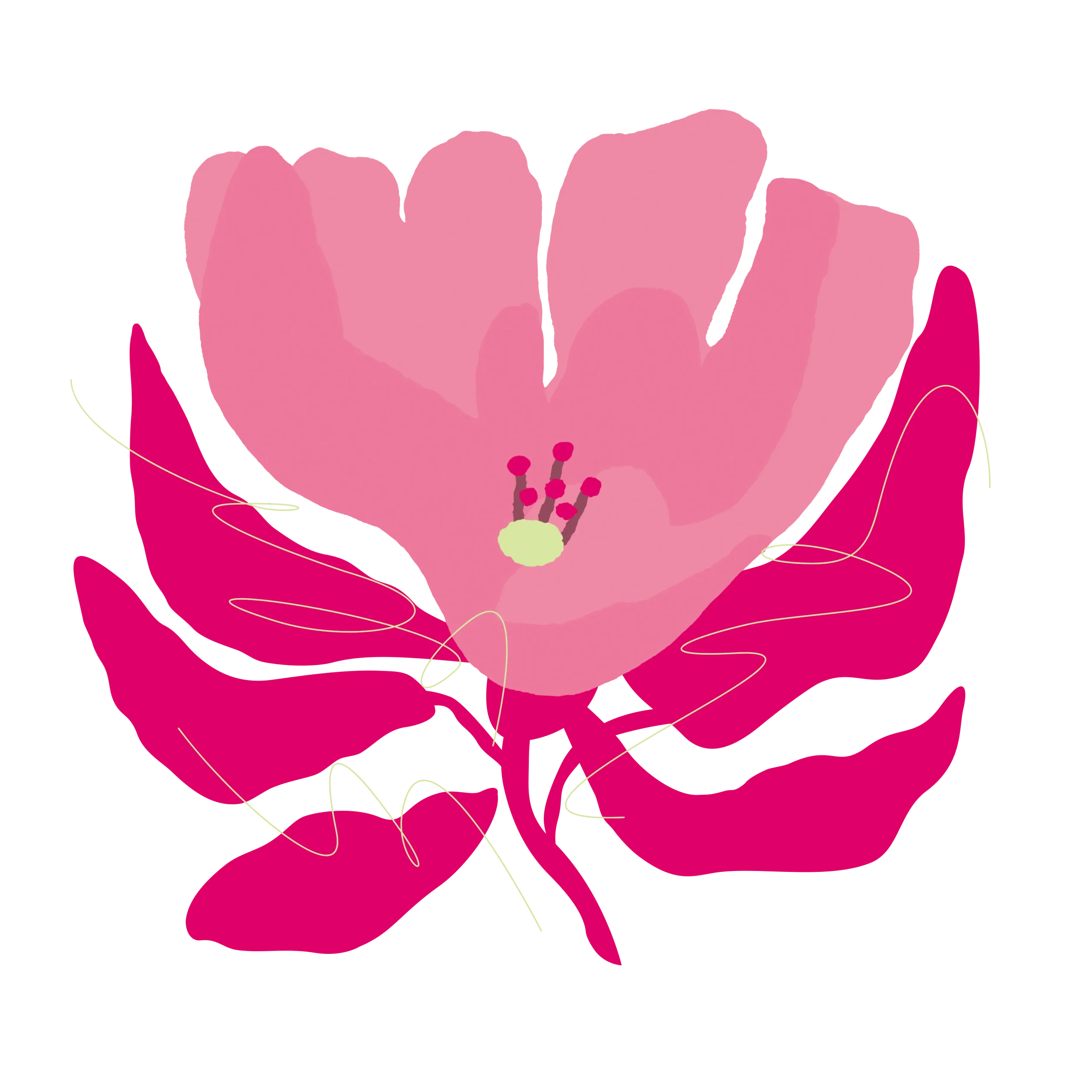 ショコラホワイトケーキ〈ベリー〉