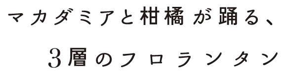 マカダミアと柑橘が踊る、３層のフロランタン